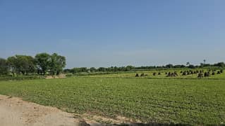 100 Acr Agriculture Land For Sale At Tharanda Muhammad Pannah