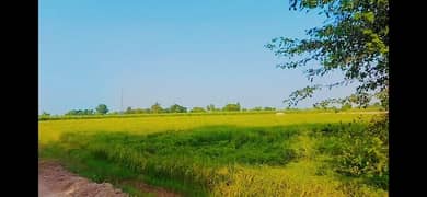 34 Acre Agricultural Land For Sale