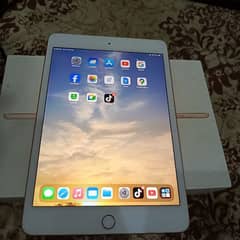 Ipad Mini 5