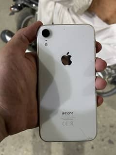 iPhone XR