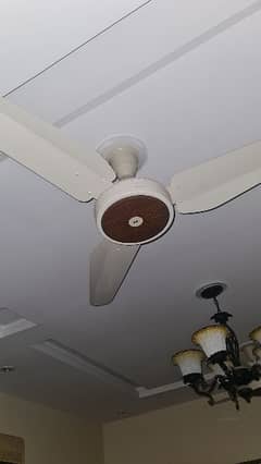 Used 6 Non inverter Celing fans For sale