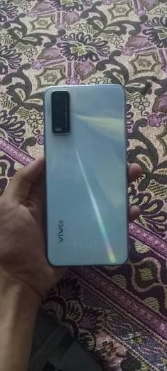 VIVO