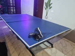 Table Tennis For Office