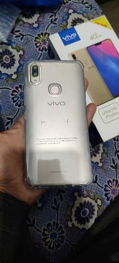 VIVO