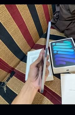 Ipad Mini6