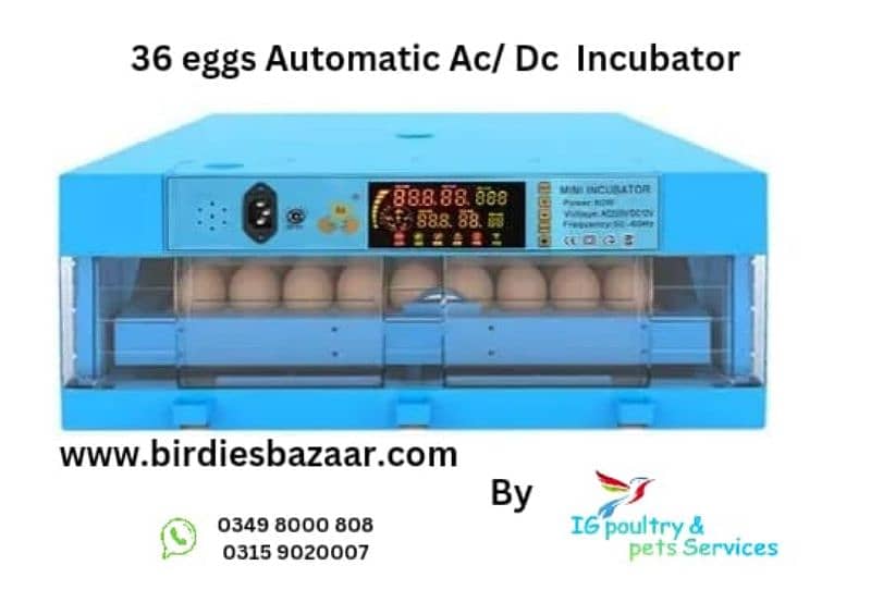 Incubator ac/dc full automatic 4