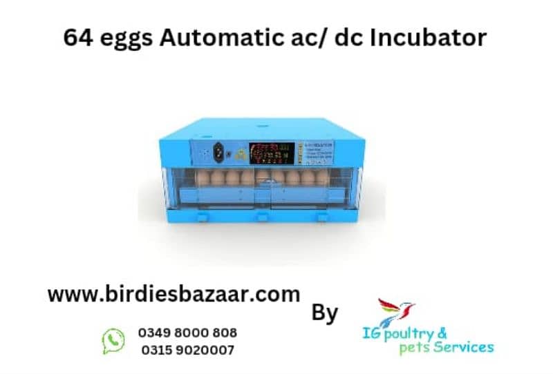 Incubator ac/dc full automatic 6