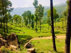 Residential Plot for sale in Pine Meadows Block, Murree Green Valley