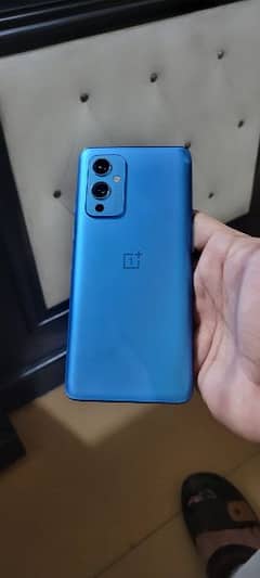 oneplus