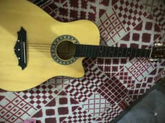 Acoustic Guitar