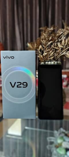 vivo v29