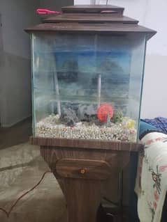 fish aquarium