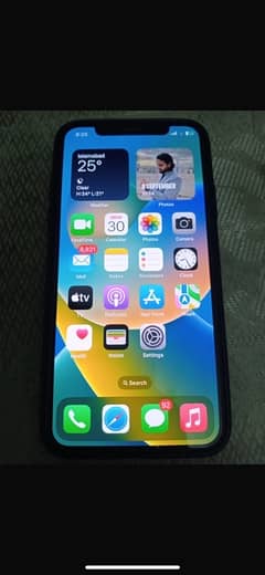 iPhone X 256 pta approved 0