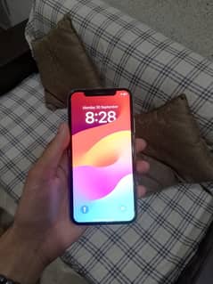 iphone xs white colour 256gb