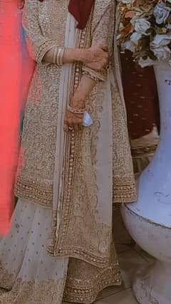 walima and barat dress