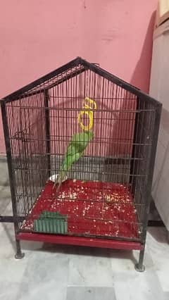 only cage for sell