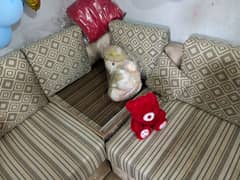 9 seater sofa set with cousion