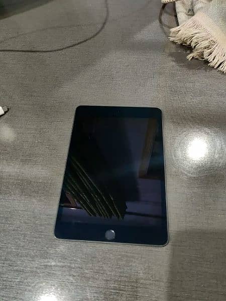 Ipad mini 5 1