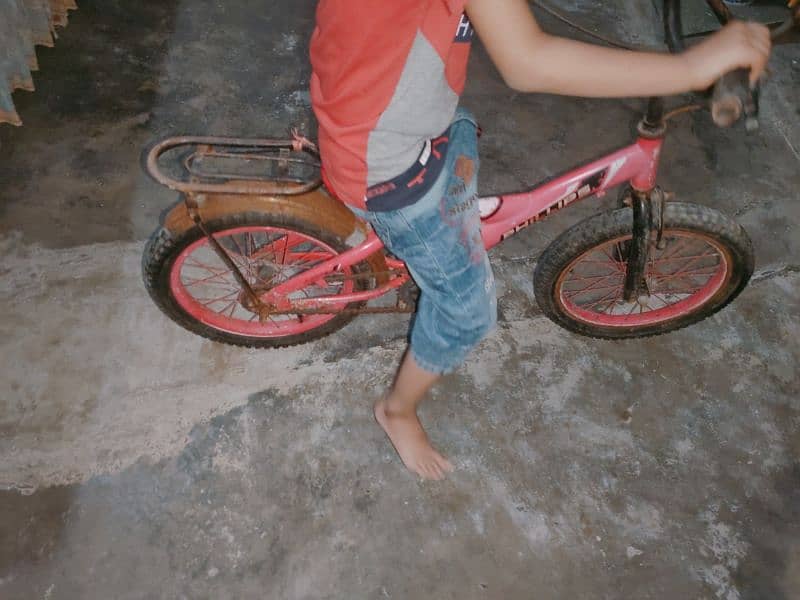 kids cycle 4