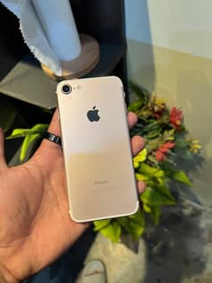 iPhone 7 128 Gb PTA approved