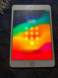 ipad mini5