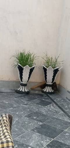 Beautiful Synthetic Enamel Coated Cement Gamla Pair