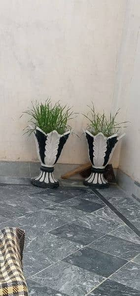 Beautiful Synthetic Enamel Coated Cement Gamla Pair 0