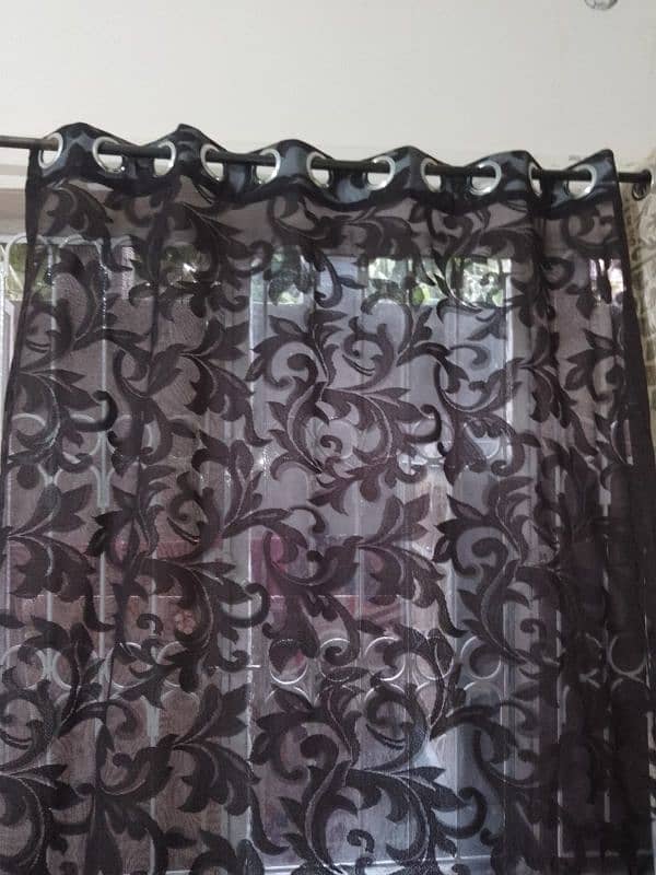 Curtains 1