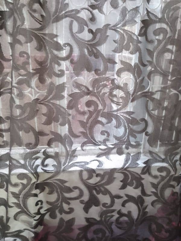 Curtains 4