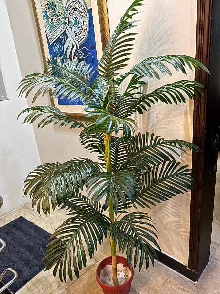 Artificial Ariga palm plant  5 feet almost brand new condition 0