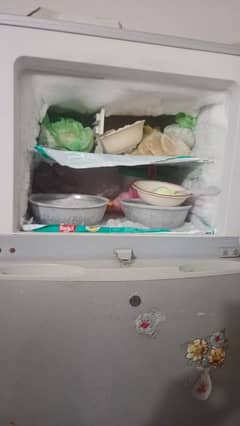 fridge