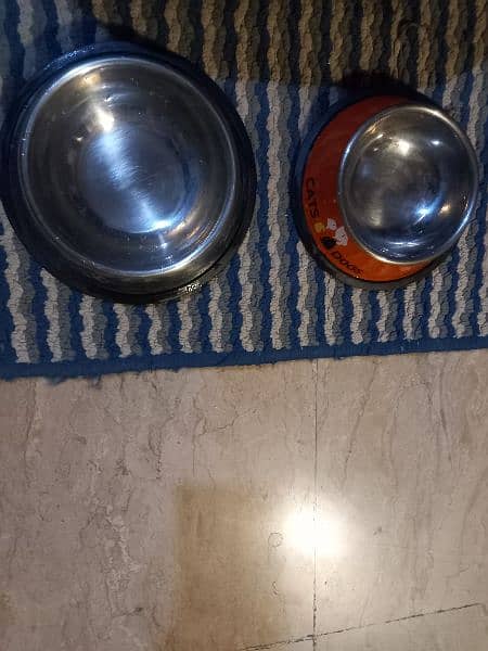 2 litter tub with 2 foods steel bowls and toy for cat 1