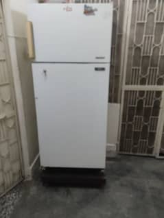 ignex Fridge