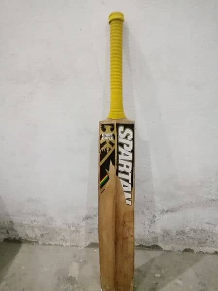 hard ball kit for cricket 1