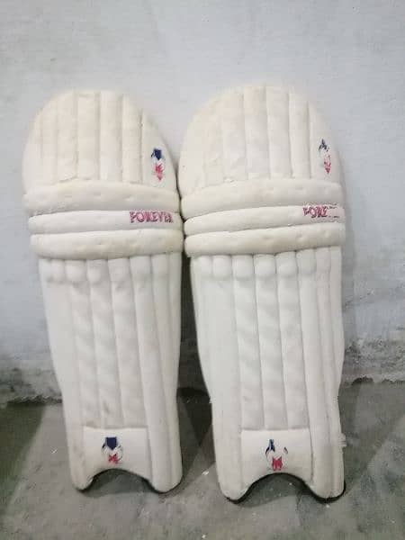 hard ball kit for cricket 5