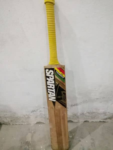 hard ball kit for cricket 8