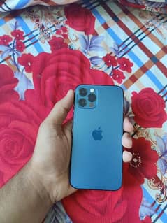 iphone 12 pro non PTA not jv