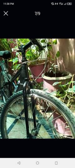 Bicycle for sale