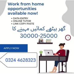 Online job available/Data Entry/Typing/Teaching/Assignment/Students