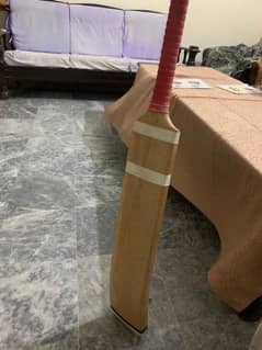 Coconut Bat Lenght 35 inch, Width: 5 inch, Carrom Handle, Light Weight