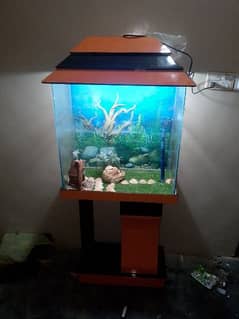 aquarium for sell good condition