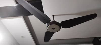 2 Sk Magnum ceiling fans