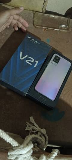 vivo