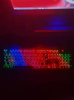 bloddy rgb gaming keyboard