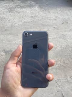 iphone 8 non pta 64 GB 0