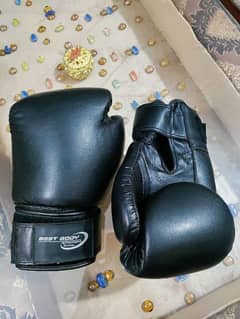 Boxing Gloves (Best Body Nutrition) - 10 UZ