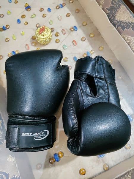 Boxing Gloves (Best Body Nutrition) - 10 UZ 0