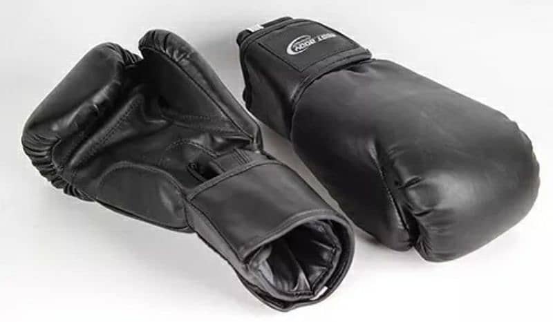 Boxing Gloves (Best Body Nutrition) - 10 UZ 2