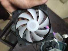 casing fans