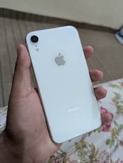 iPhone XR (03484333877) 0